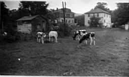 Lacey Farm 1944.jpg